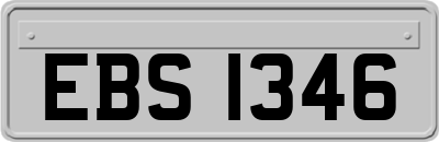 EBS1346