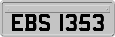 EBS1353