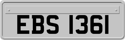 EBS1361