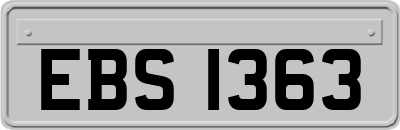 EBS1363