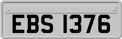 EBS1376