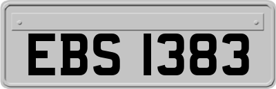 EBS1383