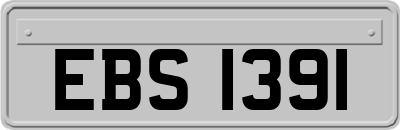 EBS1391