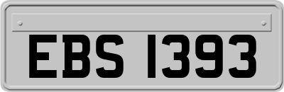 EBS1393