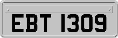 EBT1309