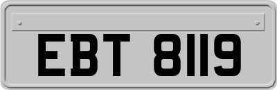 EBT8119