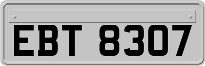 EBT8307