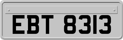 EBT8313
