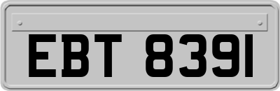 EBT8391