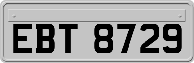EBT8729