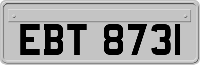 EBT8731