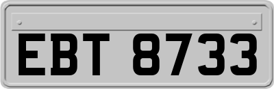 EBT8733