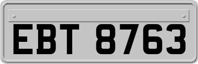 EBT8763