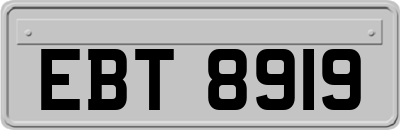 EBT8919