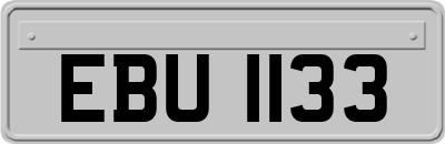 EBU1133