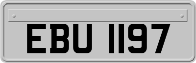 EBU1197