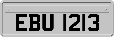 EBU1213
