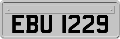 EBU1229