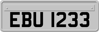 EBU1233