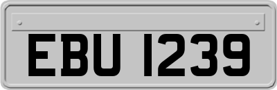 EBU1239