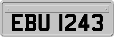 EBU1243