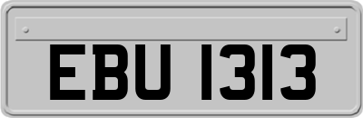 EBU1313