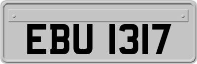 EBU1317