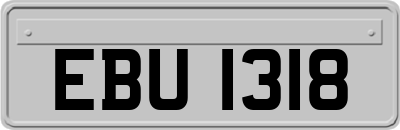 EBU1318