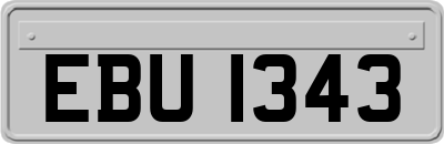 EBU1343
