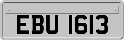 EBU1613
