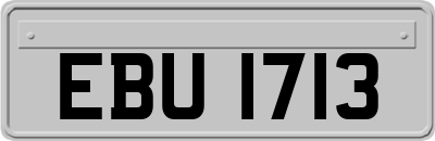 EBU1713