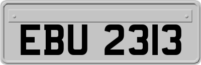 EBU2313