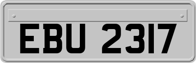 EBU2317