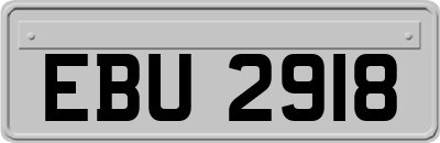 EBU2918