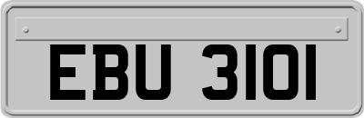 EBU3101