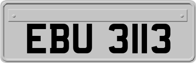EBU3113
