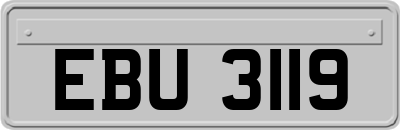 EBU3119