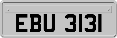 EBU3131