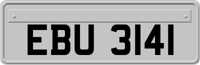 EBU3141