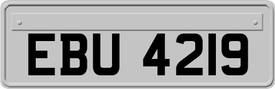 EBU4219