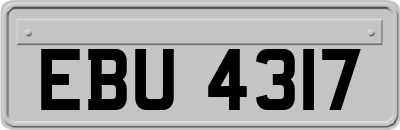 EBU4317