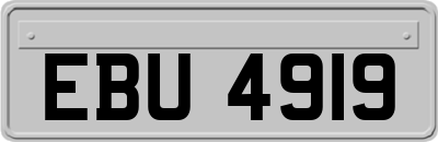 EBU4919