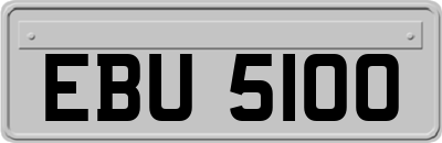 EBU5100