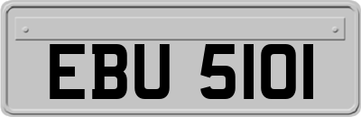 EBU5101