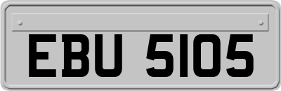EBU5105