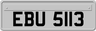 EBU5113