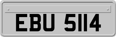 EBU5114