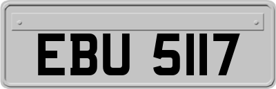 EBU5117