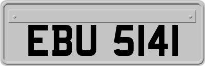 EBU5141