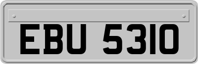 EBU5310